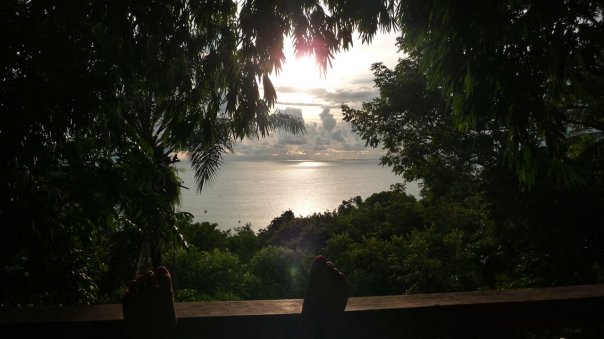 Sunset views with White Face Monkeys playing in the trees